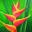 Jardin Tropic
